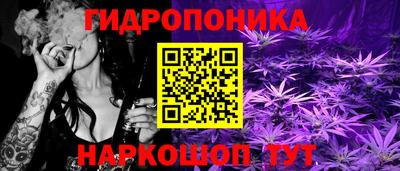 молекула духа Рязань