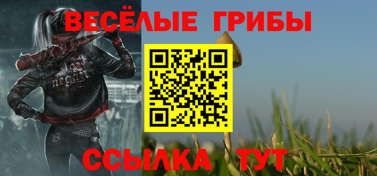Псилоцибиновые грибы прущие грибы  Вход с VPN  Полевской  Псилоцибиновые грибы Psilocybe 